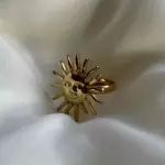 Anillo regulable de sol 1