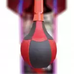 boxer