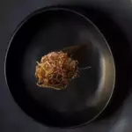 Temaki Salmão c/crispy alho poró