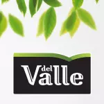 DEL VALLE MANGA 290 ML