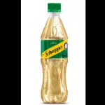 GINGER