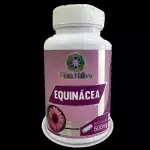 Equinácea