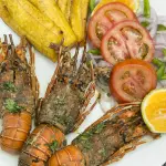 LANGOSTA