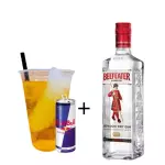 Dose Gin Beefeater - 700 ml