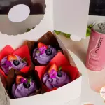 Ancheta Cupcakes chocolate y arándan