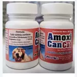 AMOXICILINA (AMOXICANCAT)