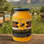 Mel Silvestre Canastra 800g