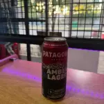 Patagonia amber