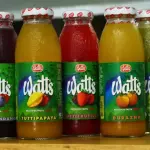 Jugo Nectar Watt´s Mesa