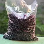 FRUTA ARÁNDANOS 1KG