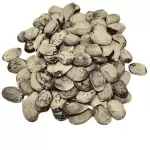 SEMENTE DE EMBURANA 50gr