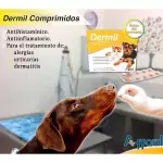 DERMIL COMPRIMIDOS