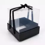 Caja micro acetato RG456