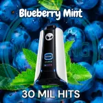 Blueberry Mint