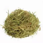 Melão de São Caetano - 10g
