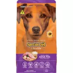 Special dog Ultralife R P