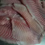 Filé de Tilápia fresca