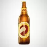 Skol Litro