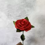 Rosa Eterna