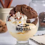 Iced Cookie(copy)