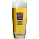 VASO AUGUSTINER