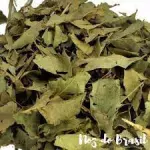 ESPINHEIRA SANTA-PCT 200G