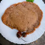 Bife de Seitán