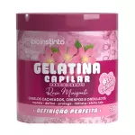 Gelatina Capilar Rosa Mosqueta 500g