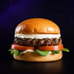 Mini Orbit Burger