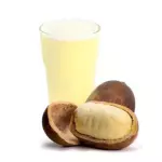 Suco de cupuaçu (300ml)