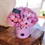 Producto 58