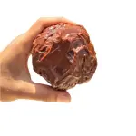 GALLETA DE BRUCE CAKE