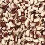 FAVA RAJADA VERMELHA