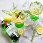 303 - Gin Tropical