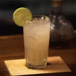 MEXICAN MULE