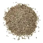 Endro 100g