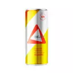 SKOL BEATS TROPICAL 269ML