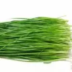 Cebollin x 250gr