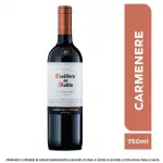 Casillero del Diablo Carmenere