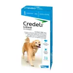 CREDELI 900MG