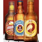LITRINHO 300ML P/ RETIRAR