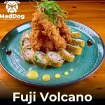 Fuji Volcano