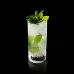 MOJITO