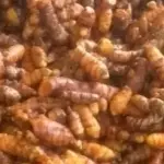 Açafrão em raiz 200 g - Roseli e Gê