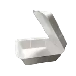 CT1