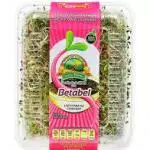 Germinado de Alfalfa con Betabel 200 grs