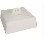 Caja transportadora 35x35x12cm