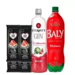 Combo Gin  (Melancia)