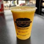 SUCO DE MANGA