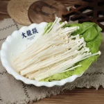 ENOKI 金针菇